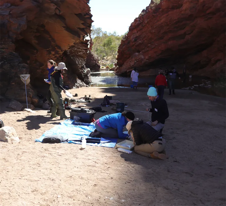 Ecology students