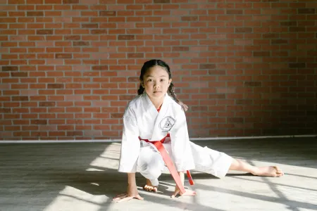 kung fu