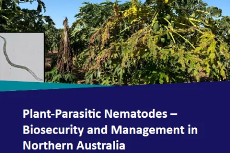 nematode BIG