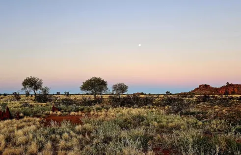 Desert
